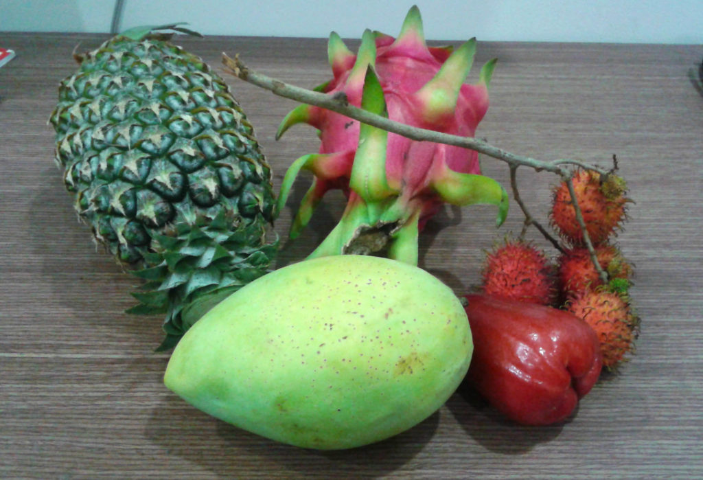 Southeast Asian Fruit Review Fruit While Traveling Married With Maps   Fruits 1024x699 